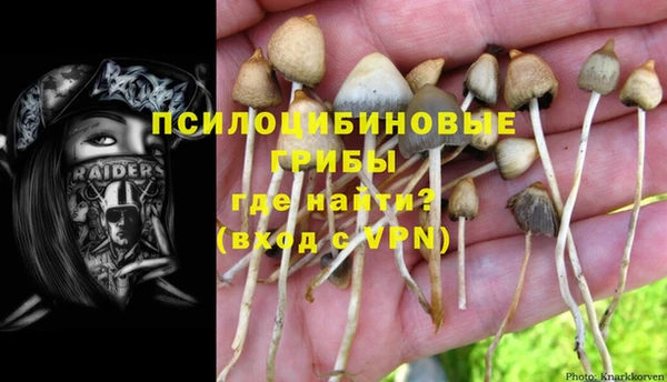 эйфоретик Лиски