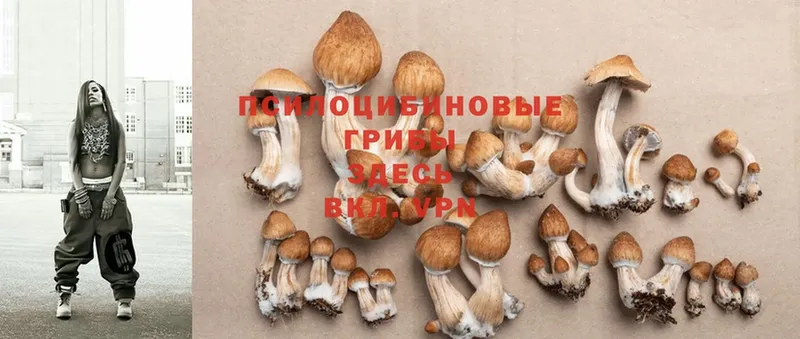 Галлюциногенные грибы Cubensis  MEGA как войти  Полярный  купить наркотики сайты 