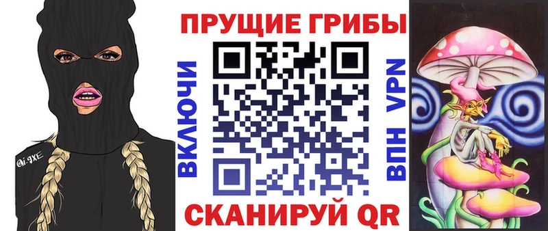 купить закладку Полярный Галлюциногенные грибы мухоморы